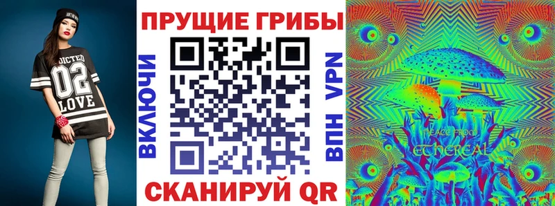Галлюциногенные грибы Cubensis  Избербаш 